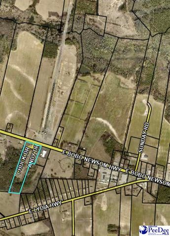 101 andy dr, Darlington, SC 29550