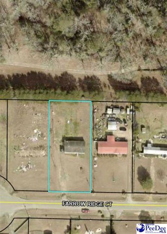 101 andy dr, Darlington, SC 29550