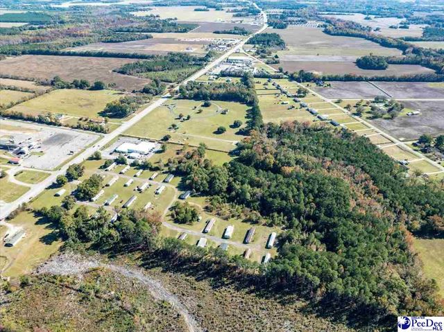 101 andy dr, Darlington, SC 29550