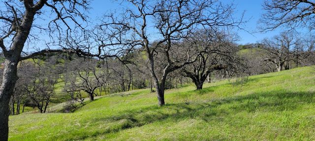 Happy Valley Trail, Cottonwood, CA 96022