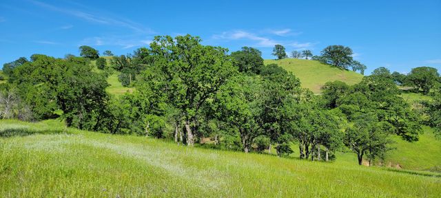 Happy Valley Trail, Cottonwood, CA 96022