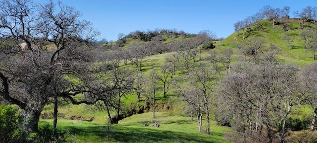 Happy Valley Trail, Cottonwood, CA 96022