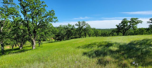 Happy Valley Trail, Cottonwood, CA 96022