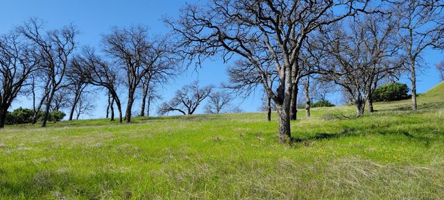 Happy Valley Trail, Cottonwood, CA 96022