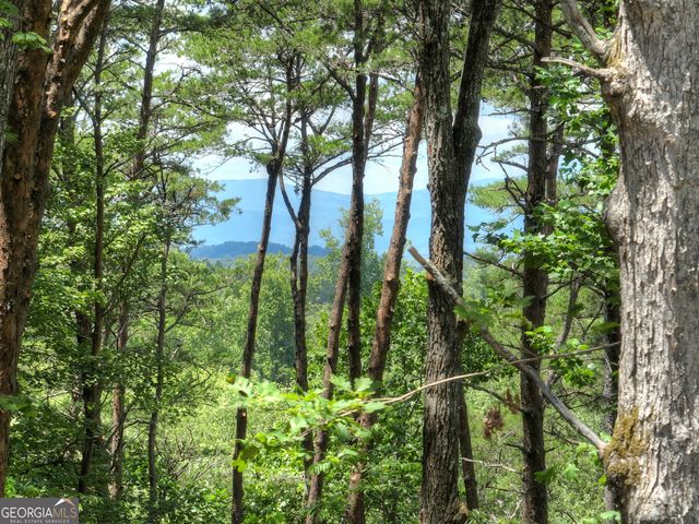 58 Whitetail Hollow, Morganton, GA 30560