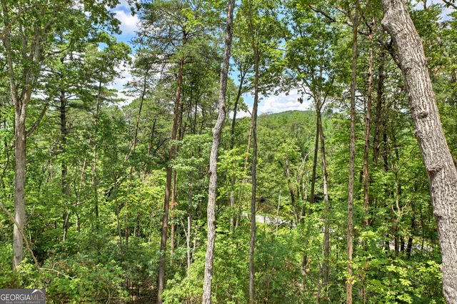 58 Whitetail Hollow, Morganton, GA 30560