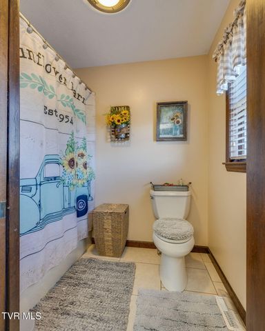 104 Newt Wheelock Road, Jonesborough, TN 37659