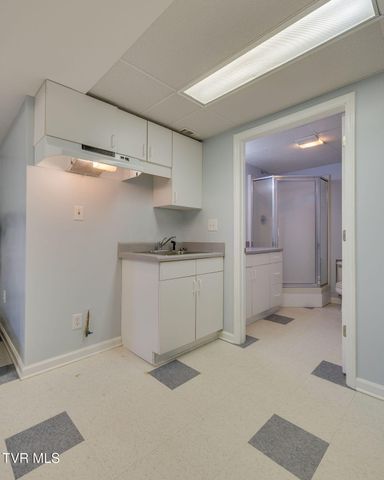 104 Newt Wheelock Road, Jonesborough, TN 37659