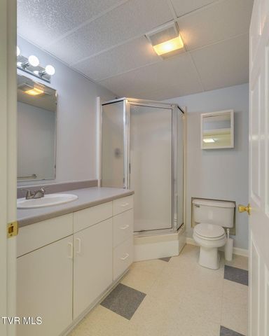 104 Newt Wheelock Road, Jonesborough, TN 37659