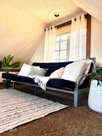 104 Newt Wheelock Road, Jonesborough, TN 37659