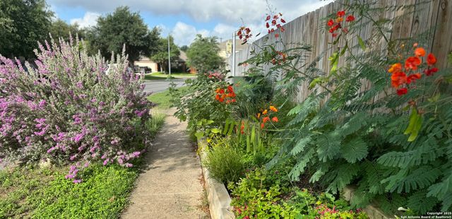 8639 Cantua Creek, Helotes, TX 78023