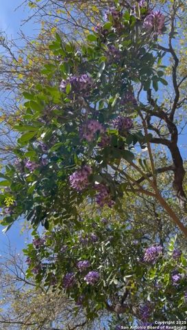 8639 Cantua Creek, Helotes, TX 78023