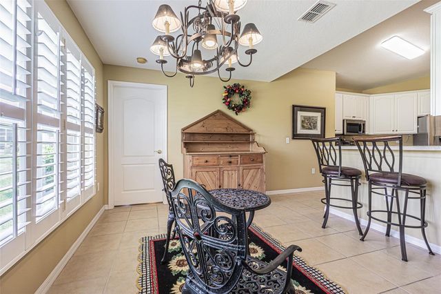 29435 SNAP HOOK DRIVE, San Antonio, FL 33576