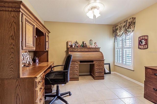 29435 SNAP HOOK DRIVE, San Antonio, FL 33576