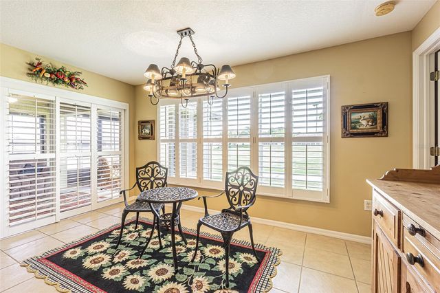 29435 SNAP HOOK DRIVE, San Antonio, FL 33576