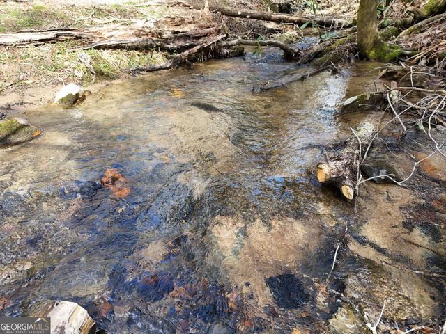 LOT 45B Synacia Drive, Mineral Bluff, GA 30559