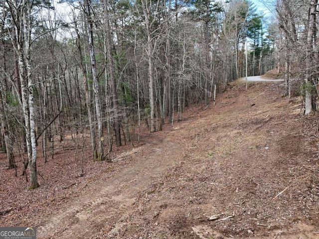 LOT 45B Synacia Drive, Mineral Bluff, GA 30559