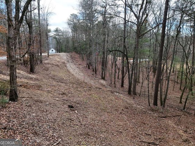 LOT 45B Synacia Drive, Mineral Bluff, GA 30559