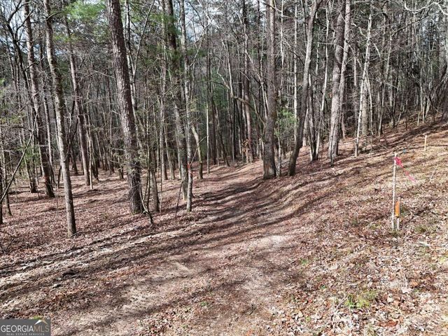 LOT 45B Synacia Drive, Mineral Bluff, GA 30559