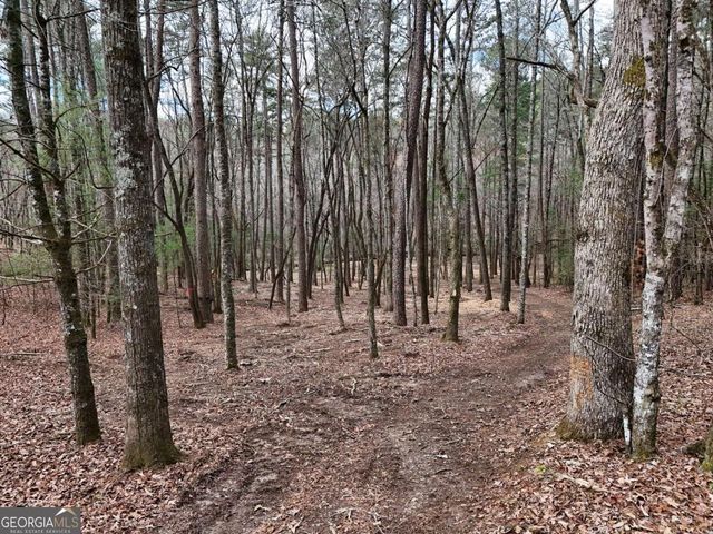 LOT 45B Synacia Drive, Mineral Bluff, GA 30559