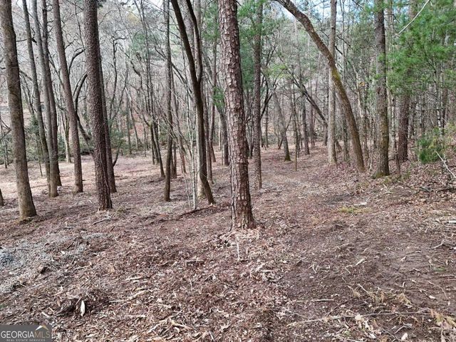 LOT 45B Synacia Drive, Mineral Bluff, GA 30559