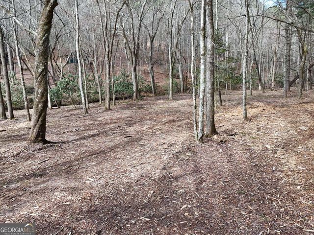 LOT 45B Synacia Drive, Mineral Bluff, GA 30559
