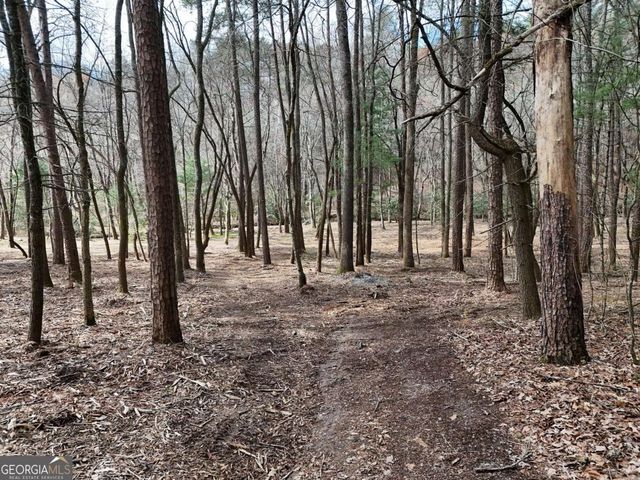 LOT 45B Synacia Drive, Mineral Bluff, GA 30559