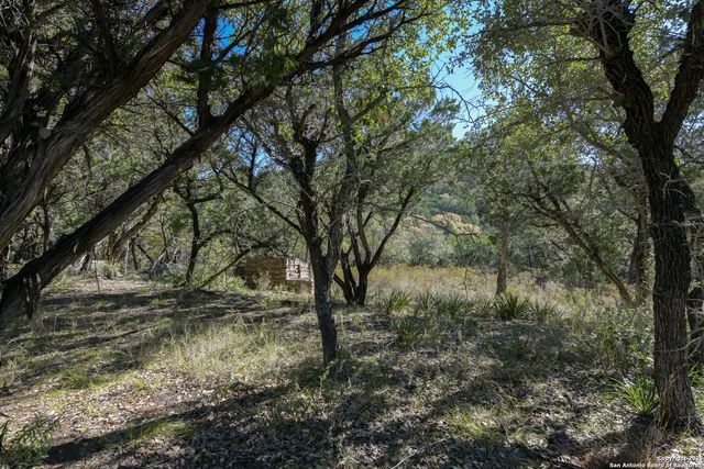 286 private road 1733, Mico, TX 78056