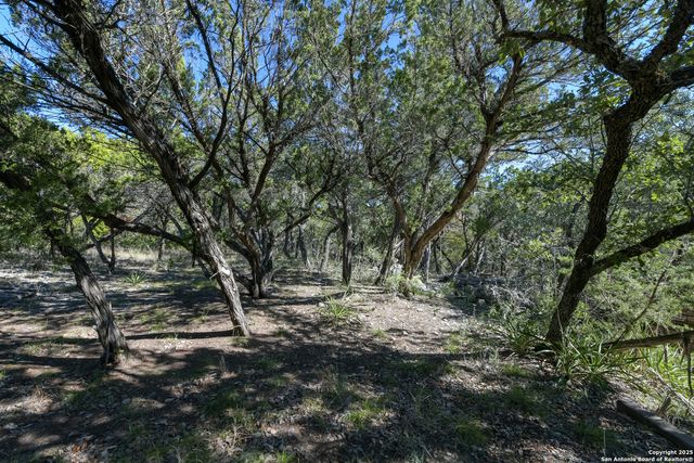 286 private road 1733, Mico, TX 78056