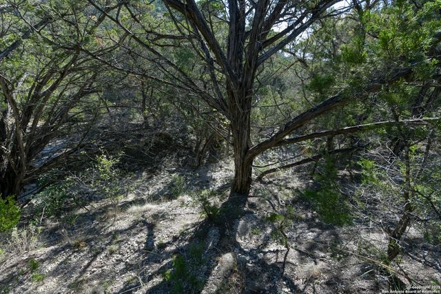 286 private road 1733, Mico, TX 78056