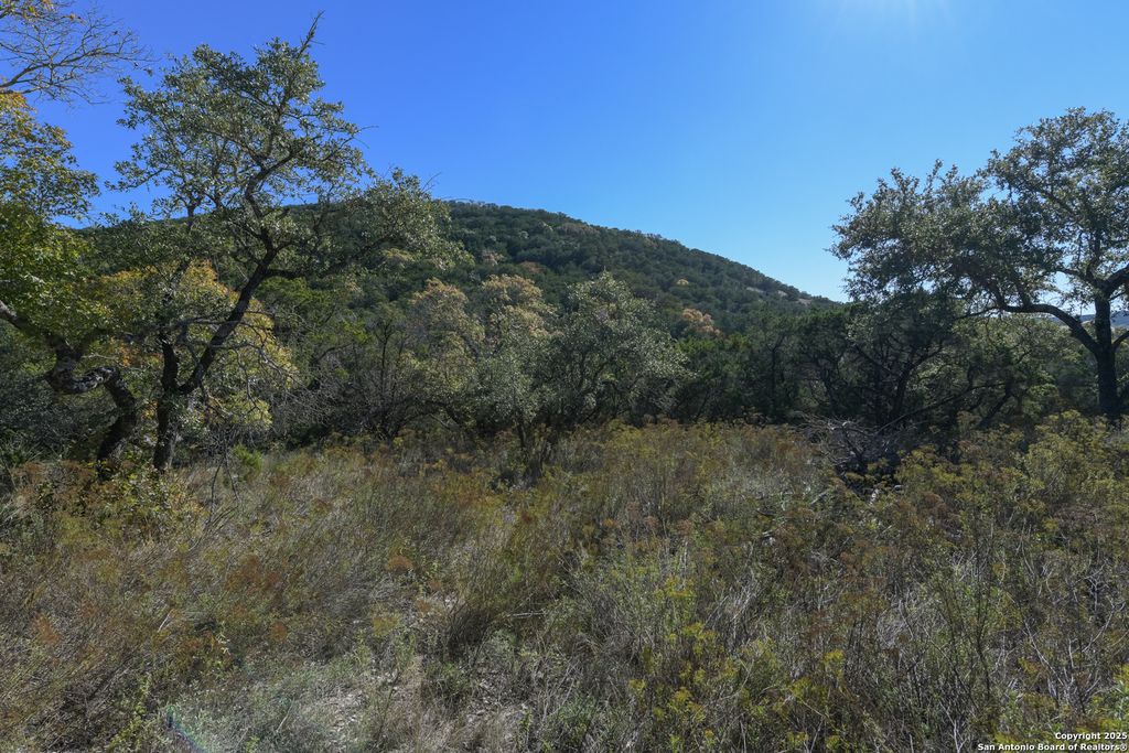 286 private road 1733, Mico, TX 78056