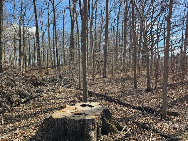 21977 Craig Avenue, Noblesville, IN 46060