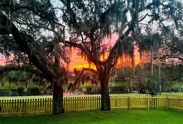 734 BERRY BRAMBLE DRIVE, Brandon, FL 33510