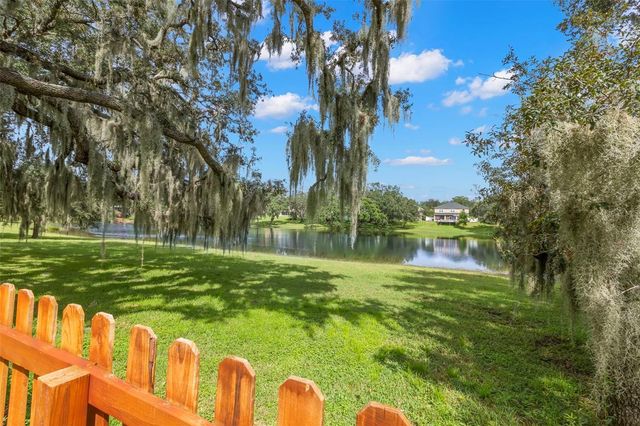 734 BERRY BRAMBLE DRIVE, Brandon, FL 33510