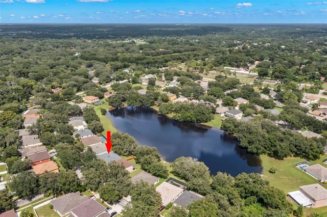 734 BERRY BRAMBLE DRIVE, Brandon, FL 33510