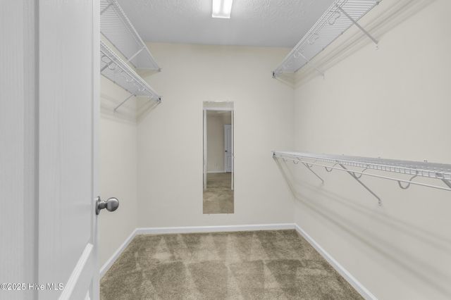 3301 Hardee Farms Drive, New Bern, NC 28562