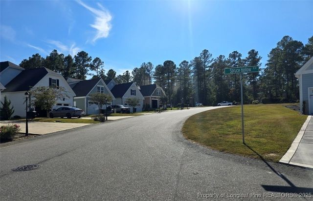 36 Spruce Hollow Circle, Spring Lake, NC 28390
