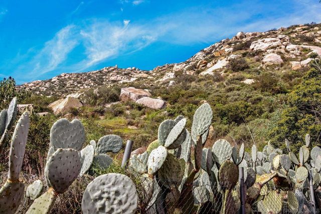 14416 Willow Rd, Lakeside, CA 92040