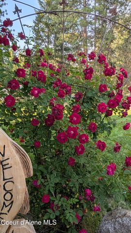 53 Soaring Eagle Lane, Bonners Ferry, ID 83805