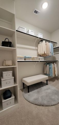 21258 Catalina Palm Drive, Cypress, TX 77433