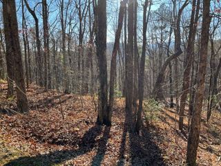 LOT #1 Forest Canopy Way, Clayton, GA 30525