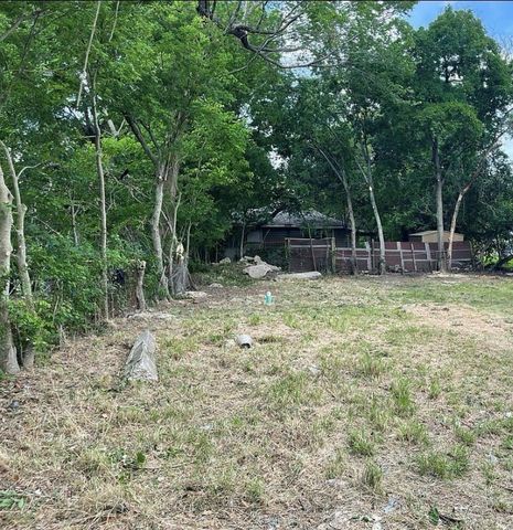 3105 Anita Street, Houston, TX 77004