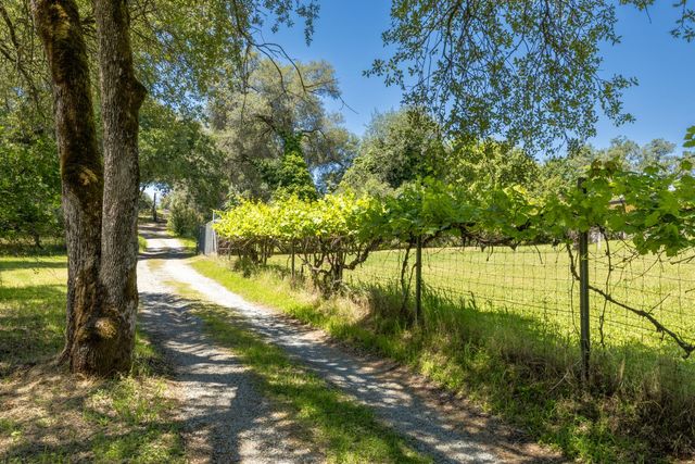 4940 Holly Dr, Shingle Springs, CA 95682