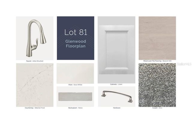 854 CREEPING FIG STREET, Apopka, FL 32703