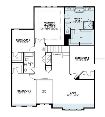 854 CREEPING FIG STREET, Apopka, FL 32703