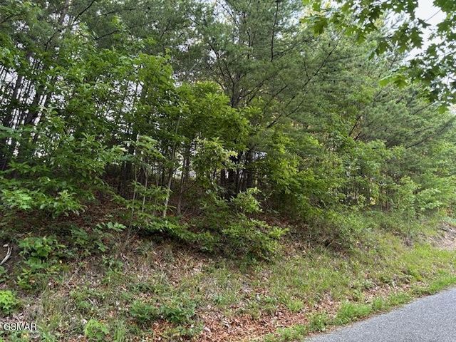 0 Top Road, Sevierville, TN 37876