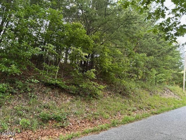 0 Top Road, Sevierville, TN 37876