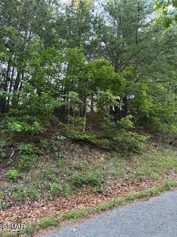 0 Top Road, Sevierville, TN 37876
