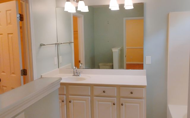 235 Sweet Alyssum Drive Drive, Ladson, SC 29456