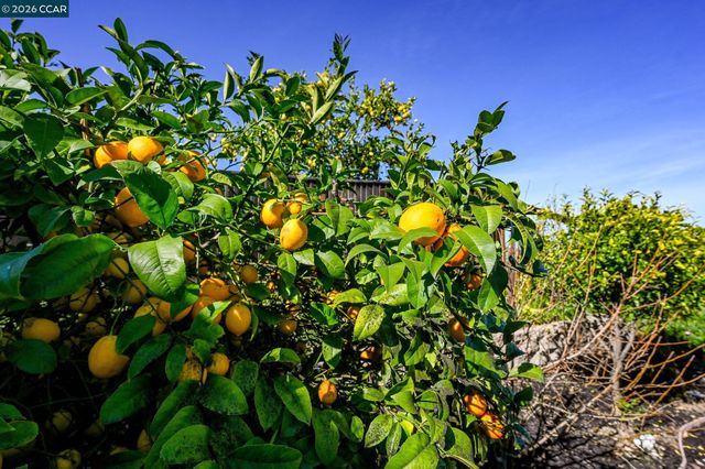 130 Savona Way, Bay Point, CA 94565